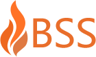 BSS